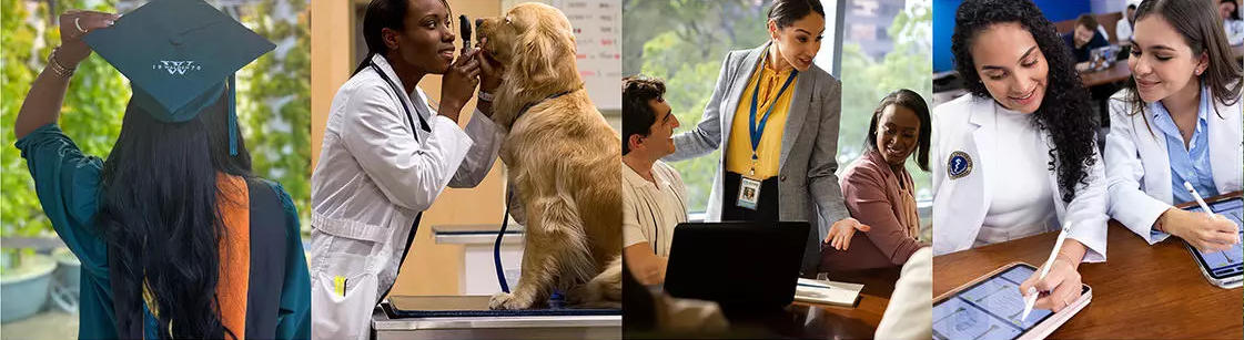 Adtalem learners and professionals — a graduate, a veterinary exam, faculty collaboration, and medical students
